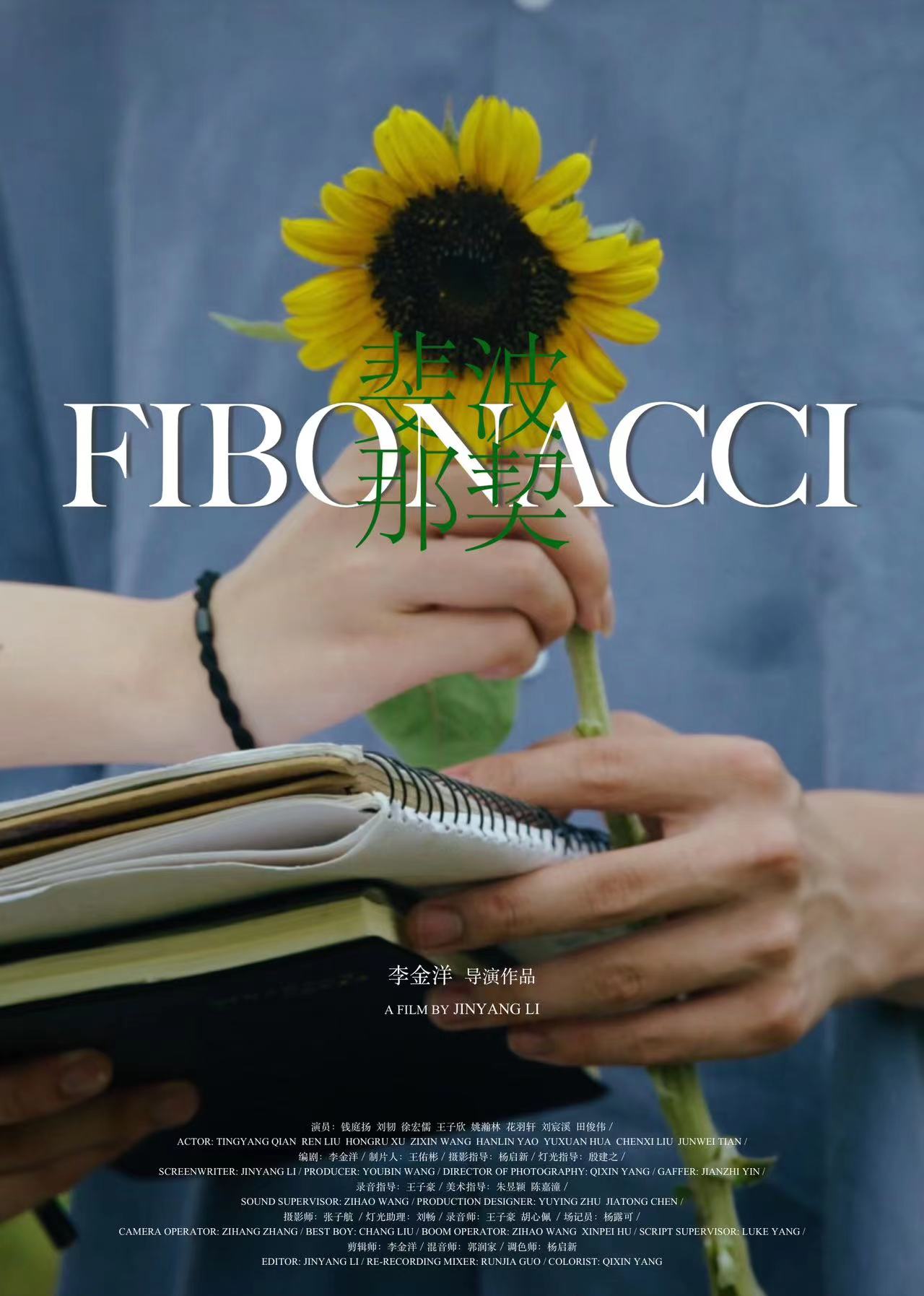 Fibonacci poster
